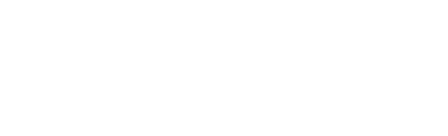 Schultz-Foundation